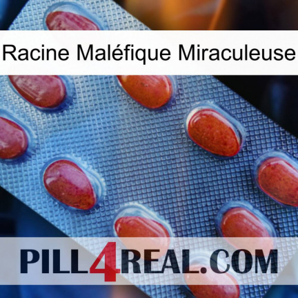 Racine Maléfique Miraculeuse 06